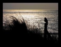 ***; Коментари:18