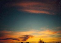 ***; Коментари:11