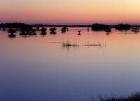 Нюанси; Коментари:6