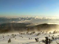 без име ( ID=294423 ); Коментари:33