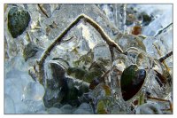 Cryogenic Dream; Коментари:11