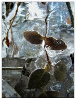 Cryogenic Dream II; Коментари:10