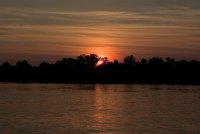 Дунав, лека нощ!; Коментари:12