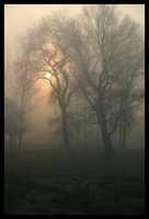 Февруарски Сън; Коментари:15