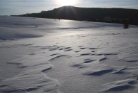 местността Узана - 4 март 2006 год.; Коментари:8