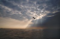 Денят си отива; Коментари:15