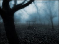 "... спомням си ... пихме кафе..."; Коментари:28