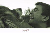 без име ( ID=443147 ); Коментари:26