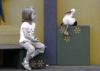 lunapark; Коментари:7