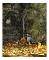 Есенни настроения; Коментари:36