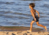 свободен; Коментари:4