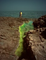 м е ч т а т е л н о; Коментари:7