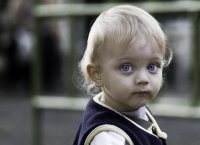 Дани; Коментари:16