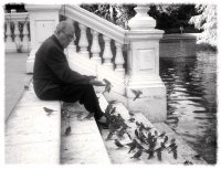 без име ( ID=448171 ); Коментари:9