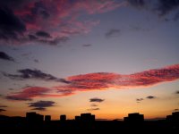 В края на деня; Коментари:10