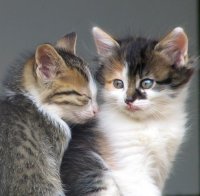 Близост; comments:16