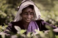 без име ( ID=434272 ); Коментари:37