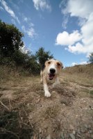 без име ( ID=436591 ); Коментари:23