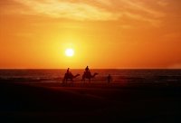 без име ( ID=450974 ); Коментари:10