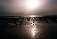 без име ( ID=450976 ); Коментари:13