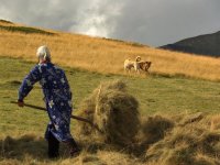 Настроения; comments:56