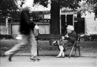 no name ( ID=455566 ); comments:10