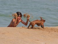 Настроения; comments:13