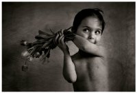 войната на лалетата; comments:23