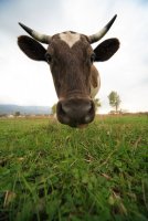 no name ( ID=461003 ); comments:28