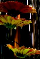 no name ( ID=563803 ); comments:6