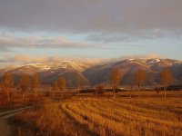 ? ЗИМА ?; comments:101