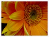 Слънце; comments:17