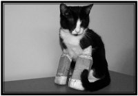 Играчка-плачка !!!; Коментари:12