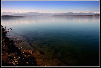 И Ком и Копрен !!!; Коментари:68