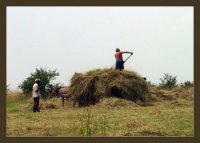 без име ( ID=561544 ); Коментари:15