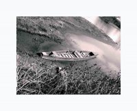 покрай Марица; comments:8