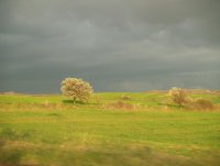 nebe pred burq...; Коментари:15