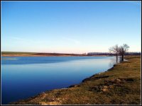 Да запазим природата чиста; Коментари:17