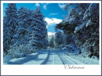 Zimna prikazka; Коментари:21