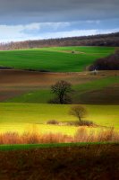 Colors of the land; Коментари:43