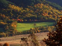 Оазис; comments:10