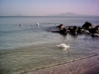 no name ( ID=568604 ); comments:1