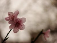 сякаш отражение...; comments:10