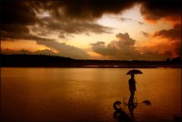 no_stalgy; Коментари:45