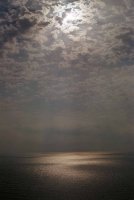 Нежност; Коментари:7