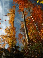 Final Fantasy 1.3; comments:13