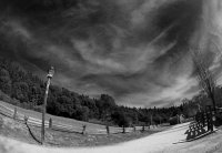 ...crossing road...; Коментари:20