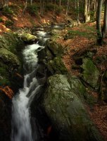 Багри; comments:15