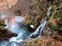 Приказки в гората IV; Коментари:11