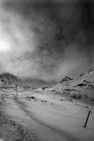 nature fights; Коментари:18